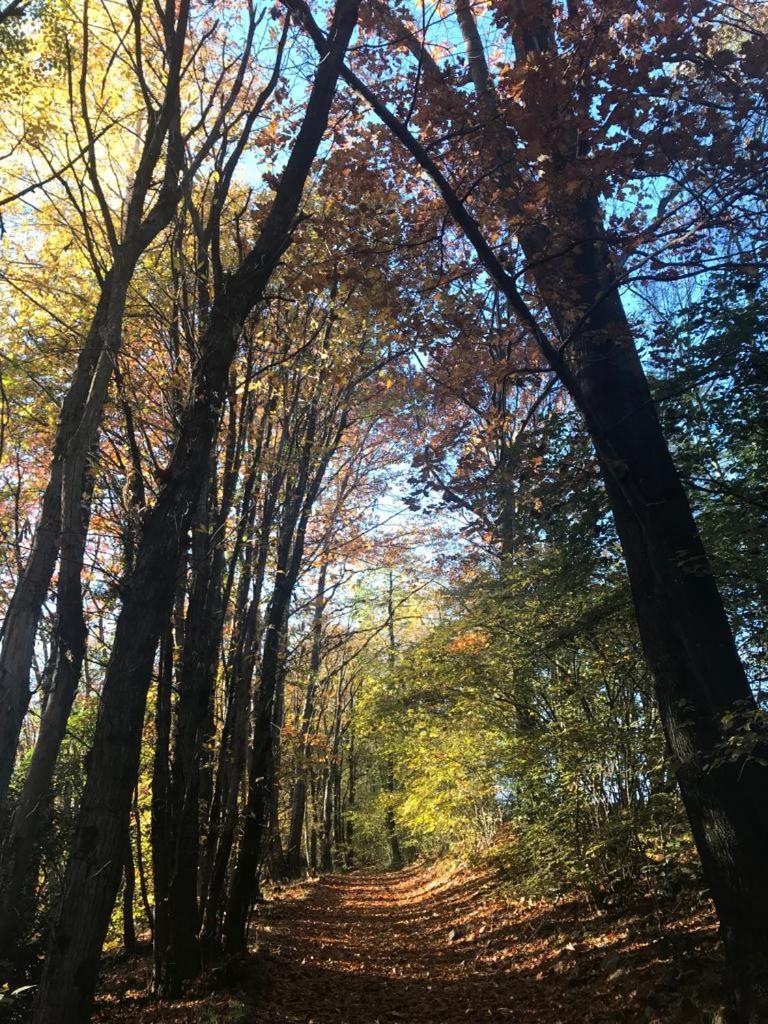 "La Romantica" Rifugio Nel Bosco Astano Εξωτερικό φωτογραφία
