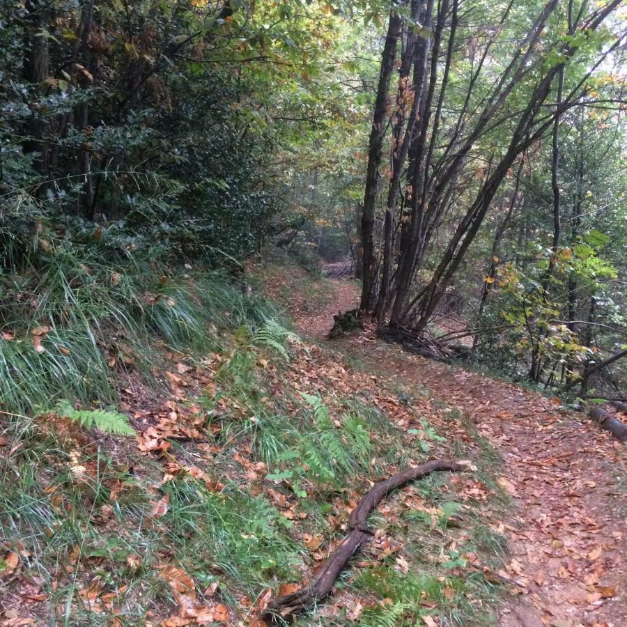 "La Romantica" Rifugio Nel Bosco Astano Εξωτερικό φωτογραφία